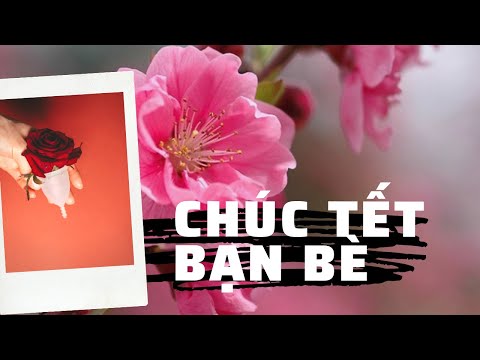 Video: Chúc mừng năm mới 2021 cho bạn bè