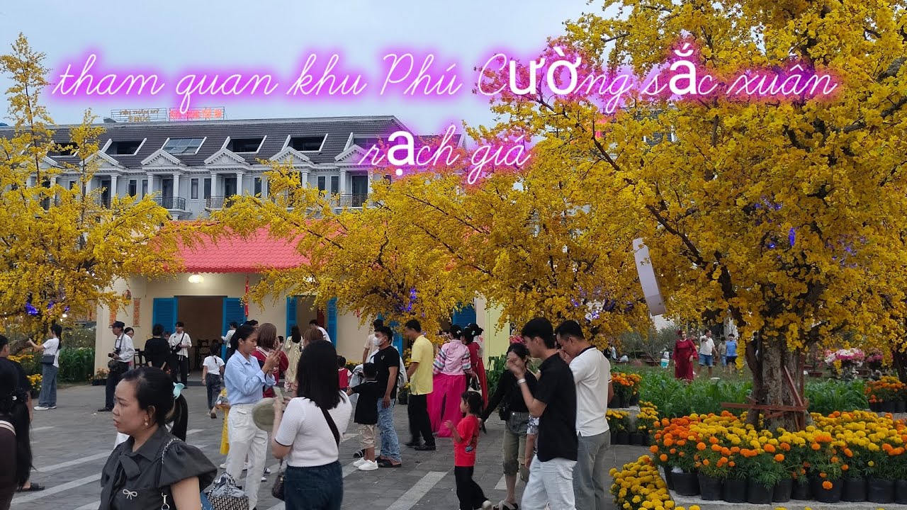 Tham quan khu Phú Cường sắc xuân rạch giá 2026 phần 1