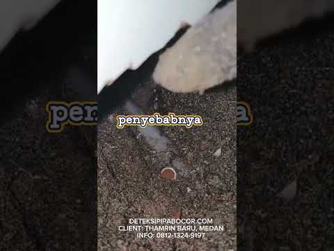 FATAL❌❌ Jangan Pernah Biarkan Kebocoran PIPA Merusak Struktur Bangunan ‼️💢