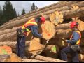 Pioneer Log Homes of BC 2012, 20 Minute Introduction (Part 1)