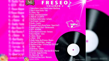 Freseo Mix Vol.2 Dj Angel Nabte 💥