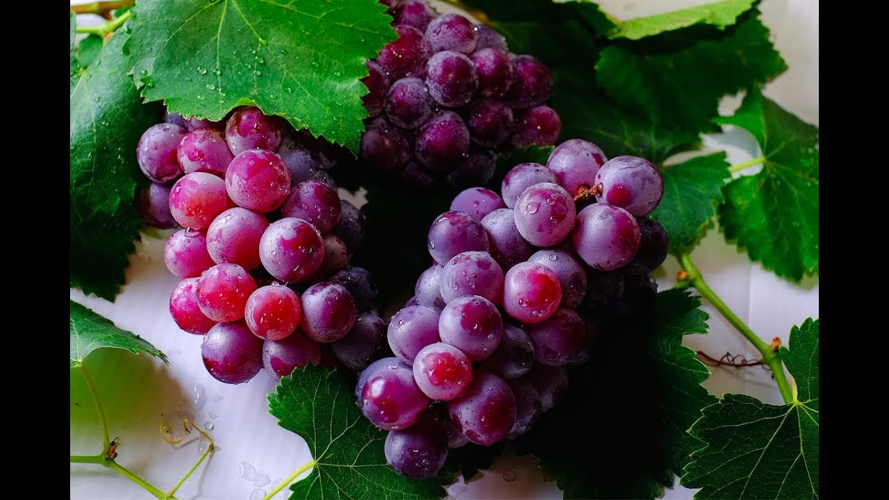 لا تسكن حاران