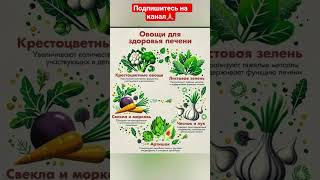 Овощи  для   поддержки  здоровья печени