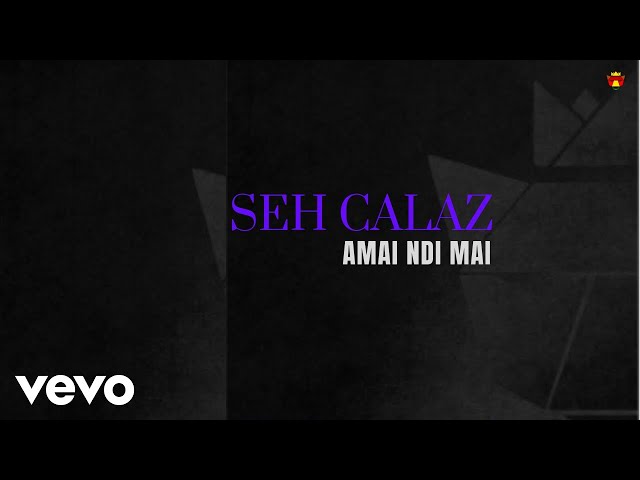 Seh Calaz - Amai Ndi Mai (Official Audio) class=