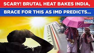 Celebrity Scary Heatwave Bakes India: Brace For Brutal Sun, Alarming Temperatures As IMD Predicts This... Net Worth