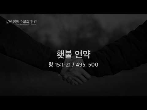 횃불 언약 20