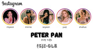 Peter Pan (어린 어른) - ((G)I-DLE)(여자)아이들 [THAISUB/แปลไทย]