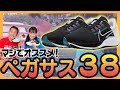 【NIKEペガサス38】実走して分かった日本一売れているシューズの実力！買って間違いなしの一足です！