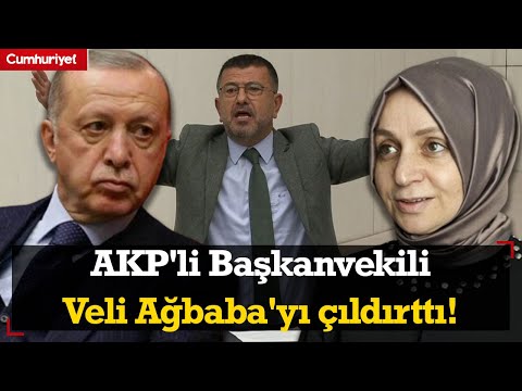 AKP'li Başkanvekili Ağbaba'yı çıldırttı! Veli Ağbaba Erdoğan'dan hesap sordu