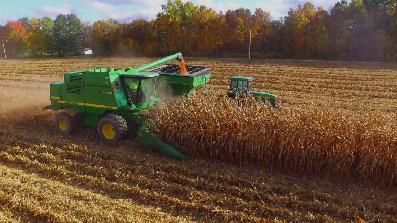 Heffron Farms Corn Harvest YouTube