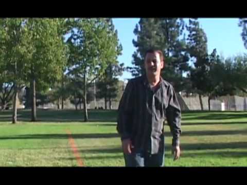 زرتا زرتا فريد هومي