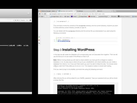cPanel and WP setup