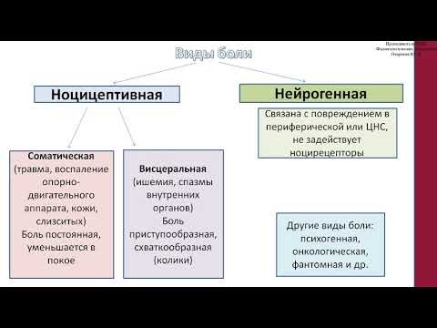 Видео: Ибупрофен нь патентын артериозын сувагт нөлөөлдөг үү?