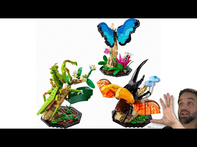 LEGO Ideas Insect Collection reveal & #NotSponsored thoughts