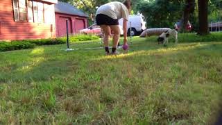 Gilda --obstacle commitment Lesson 7