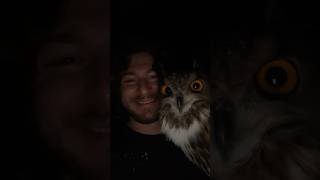 My Best friends an OWL! #shorts #Short #animal #nature #birds #owl