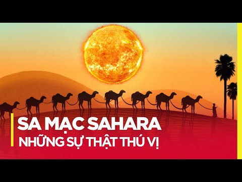 Video: 11 Sự Thật Thú Vị Về Sa Mạc