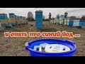 И опять про синий йод | Профилактика болезней пчёл.