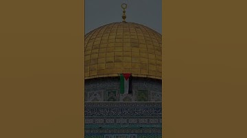 قران كريم فلسطين #قران_كريم #قرآن #فلسطين