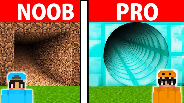 NOOB vs HACKER: I CHEATED in a Build Challenge