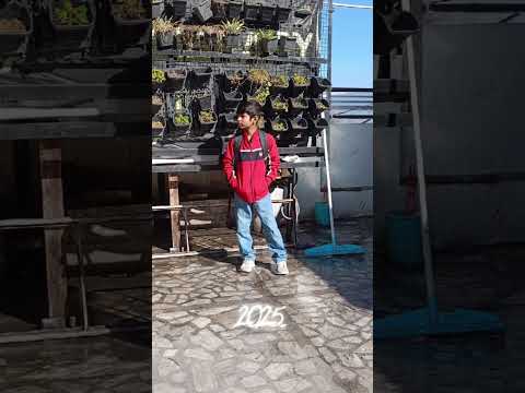 my edit photo face reveal