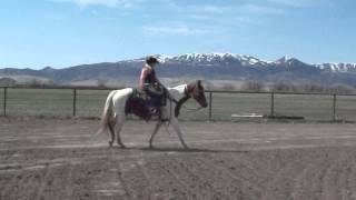 DSCF0642.avi