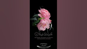 صباح الخير🌸حالات واتس اب مقاطع قصيره🌸قران كريم سورة المعارج فاصبر صبراً جميلا 🌸اسلام صبحي🌸بدون حقوق