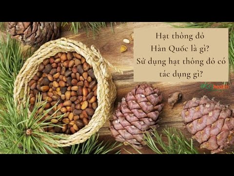 Video: Pinon Nuts là gì: Pinon Nut sử dụng và phát triển thông tin