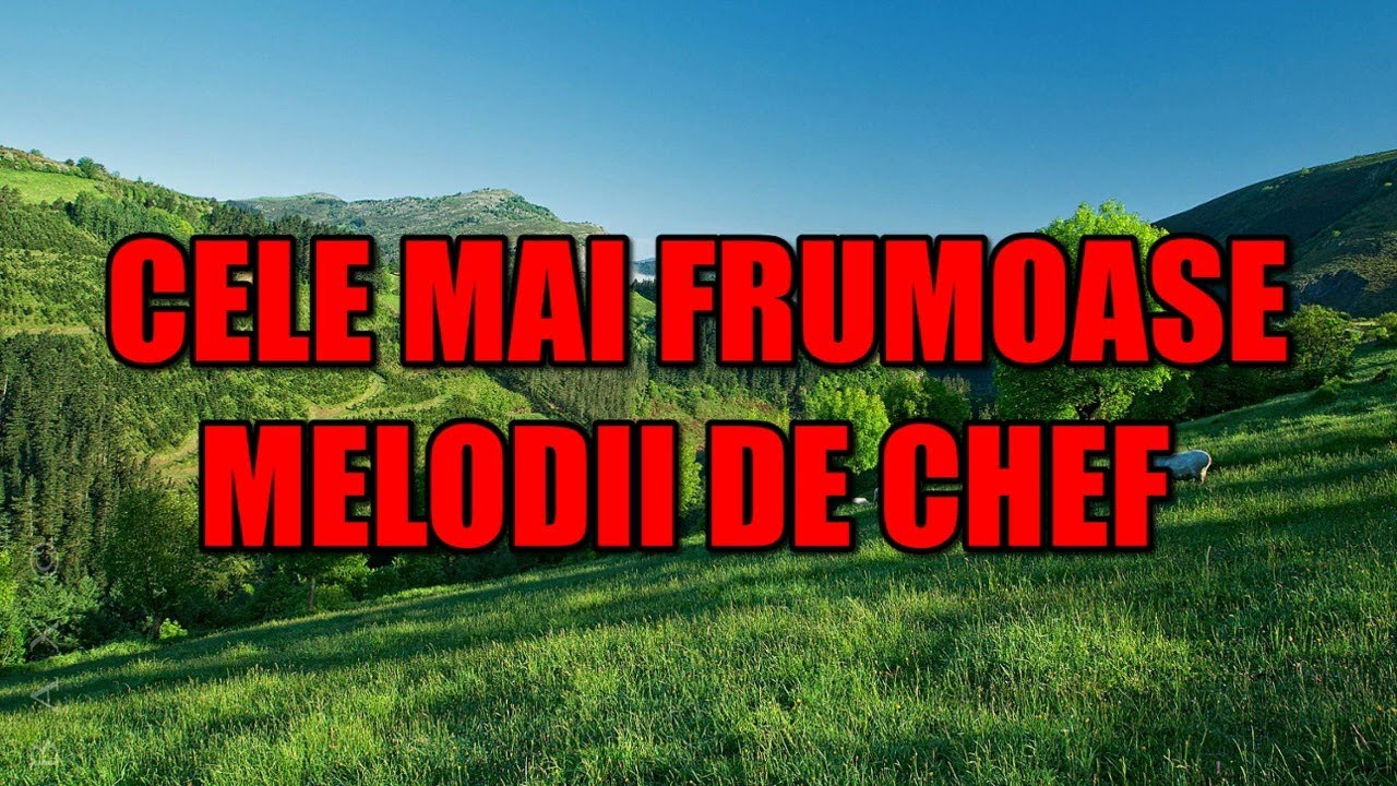 Muzica de Petrecere 2021 ❌ Program Hore si Sarbe 2021 ❌