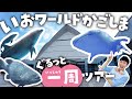 ジンベエザメに会える！いおワールドかごしま水族館を徹底解説ツアー！無料のイルカショーも🦈🐬