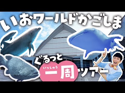 いおワールドかごしま水族館