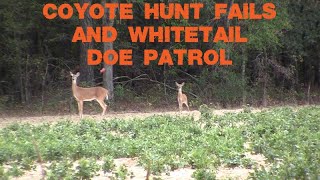Coyote Hunt Fails and Whitetail Doe Patrol with M&P GEN 7 CUT by Dustin Warncke 41 views 1 year ago 28 minutes
