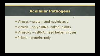 Openstax Microbiology Chapter 6 First Part Banhi