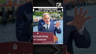 ‘Stop doing memes…, start being serious’: PM Carney’s ‘blunt’ message to Trump amid trade tussle
