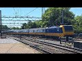 Treinen op Station Schiedam Centrum / Trains at Station Schiedam Center #treinen #train