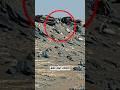Curiosity Rover Just Found Something Interesting! 🤯 #shorts #curiosity #mars