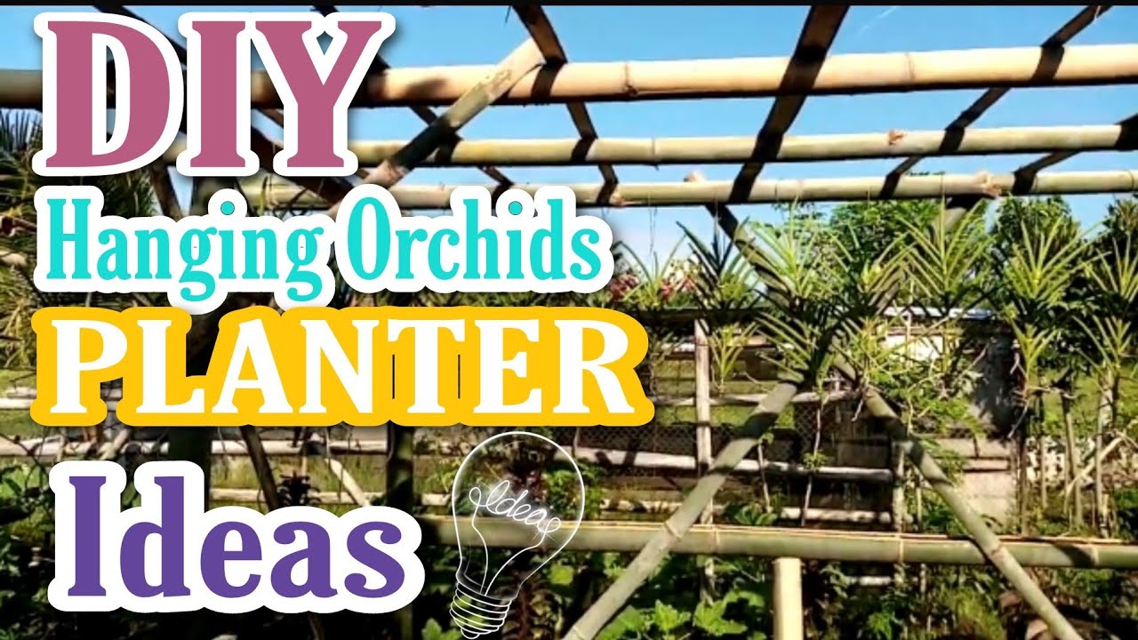 DIY HANGING ORCHID PLANTER IDEAS Nemia & Nestor's Mini Farm YouTube