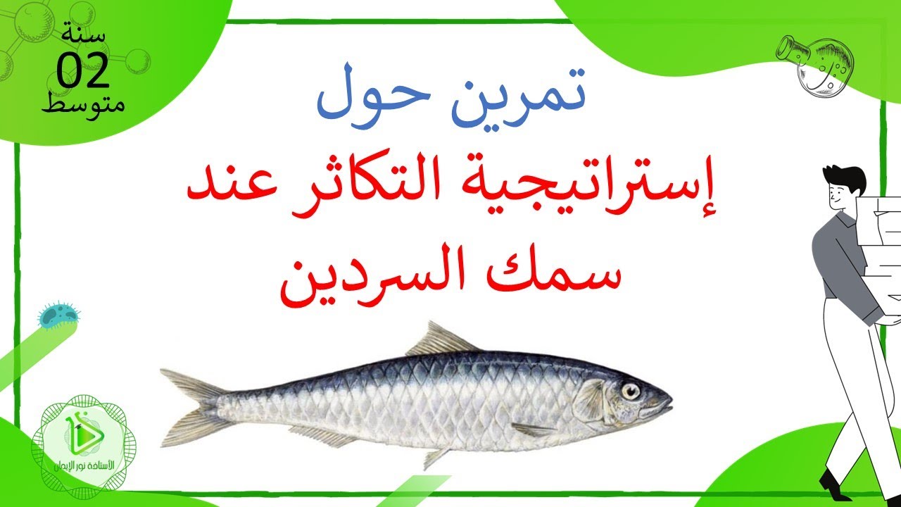تمرين حول نمط التكاثر عند سمك السردين علوم طبيعية سنة 02 متوسط