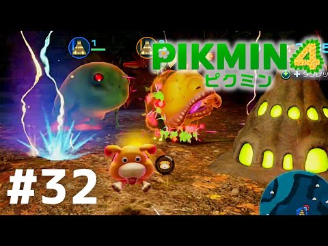 【　最終値下げ　】ペーパーマリオRPG ピクミン4 隠された超激レアなオオガネモチを探し出せ!!!巨人のかまどが