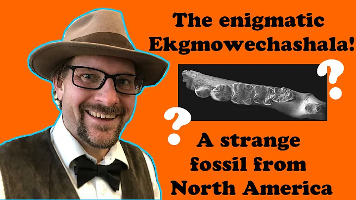 The enigmatic Ekgmowechashala, a strange fossil from North America - DayDayNews