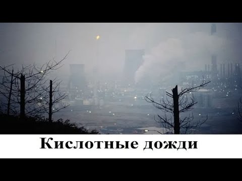 Кислотные дожди