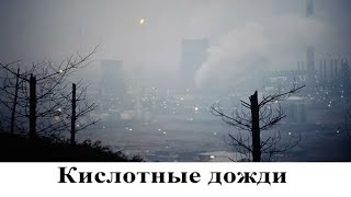 Реферат Кислотные Дожди Причины И Последствия Реферат Кислотные Дожди Причины И Последствия