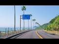 Driving Along Japan's Tropical Coast | Nichinan Phoenix Road Scenic Drive 4K