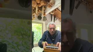 Kalimba distortion