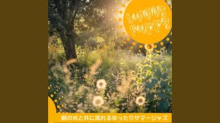 Sunlit Paths Harmony