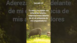 Salmo 23   Jehov Es Mi Pastor Nada Me Faltar pastor amor cristo jesus salmo23 salmos