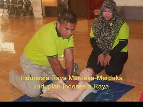 INSTRUMEN LAGU INDONESIA RAYA \u0026 MARS PPNI