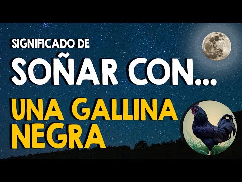 ¿Qué significa soñar con una gallina negra? 🐔 Soñar con gallinas negras vivas o muertas 🐔