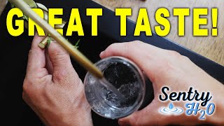 Best Home Under Sink Water Filter For 2025 - Sentry H2O Filter Install