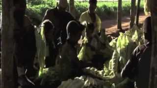 Child Slavery (World Issues Action Piece)